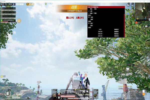 辅助软件透视功能展示